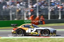 #12 TDS RACING (FRA) BMW Z4 GT3 PRO AM CUP HENRY HASSID (FRA) NICK CATSBURG (NDL)   12-13.04.2014. Blancpain Endurance Series, Round 1, Monza, Italy