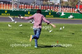 Frank Montangy (FRA) Canal+ TV Presenter scares away the seagulls. 12.03.2014. Formula 1 World Championship, Rd 1, Australian Grand Prix, Albert Park, Melbourne, Australia, Preparation Day.