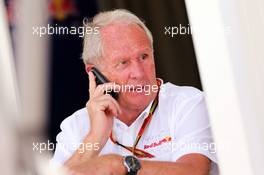 Dr Helmut Marko (AUT) Red Bull Motorsport Consultant. 09.11.2014. Formula 1 World Championship, Rd 18, Brazilian Grand Prix, Sao Paulo, Brazil, Race Day.