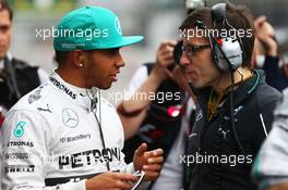 Lewis Hamilton (GBR) Mercedes AMG F1 on the grid. 20.04.2014. Formula 1 World Championship, Rd 4, Chinese Grand Prix, Shanghai, China, Race Day.