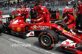 Fernando Alonso (ESP) Ferrari F14-T on the grid. 30.03.2014. Formula 1 World Championship, Rd 2, Malaysian Grand Prix, Sepang, Malaysia, Sunday.