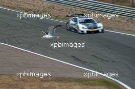 Maximilian Götz (GER) Mücke Motorsport Mercedes-AMG C63 DTM; seagul;  11.07.2015, DTM Round 4, Zandvoort, Netherlands, Qualifying 1, Saturday.