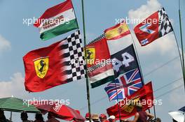 Fans anf flags. 25.07.2015. Formula 1 World Championship, Rd 10, Hungarian Grand Prix, Budapest, Hungary, Qualifying Day.