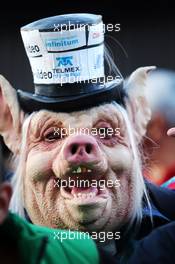 A fan wearing a pig mask. 29.10.2015. Formula 1 World Championship, Rd 17, Mexican Grand Prix, Mexixo City, Mexico, Preparation Day.