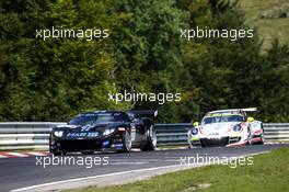 Dominik Schwager, Robert Genauer, Jürgen Allen Motorsport, Ford GT 22.08.2015 - VLN RCM DMV Grenzlandrennen, Round 6, Nurburgring, Germany.