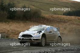 Ott Tanak (EST) Kuldar (EST), Ford Fiesta R5, M-Sport World Rally Team 12-15.11.2015. World Rally Championship, Rd 13, Wales Rally GB, Deeside, Flintshire, Wales.