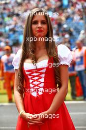 Grid girl. 24.07.2016. Formula 1 World Championship, Rd 11, Hungarian Grand Prix, Budapest, Hungary, Race Day.