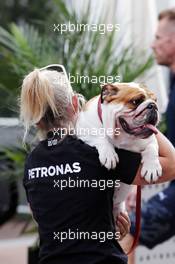 One of Lewis Hamilton (GBR) Mercedes AMG F1 dogs carried through the paddock. 20.10.2016. Formula 1 World Championship, Rd 18, United States Grand Prix, Austin, Texas, USA, Preparation Day.