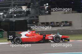 Race 1, Emil Bernstorff (GBR) Arden International 26.11.2016. GP2 Series, Rd 11, Yas Marina Circuit, Abu Dhabi, UAE, Saturday.