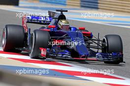 Sean Gelael (IDN) Scuderia Toro Rosso 18.04.2017. Formula 1 Testing. Sakhir, Bahrain. Tuesday.