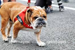 Roscoe (GBR) Dog. 09.07.2023. Formula 1 World Championship, Rd 11, British Grand Prix, Silverstone, England, Race Day.