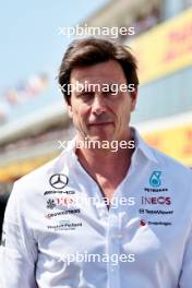 Toto Wolff (GER) Mercedes AMG F1 Shareholder and Executive Director on the grid. 23.07.2023. Formula 1 World Championship, Rd 12, Hungarian Grand Prix, Budapest, Hungary, Race Day.