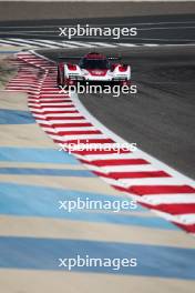 Laurens Vanthoor (BEL) #05 Porsche Penske Motorsport, Porsche 963. 06.11.2023. FIA World Endurance Championship, Rookie Test, Sakhir, Bahrain, Sunday.