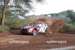 11, Thierry Neuville Martijn Wydaeghe, Hyundai i20 N Rally1 HYBRID.  27-31.03.2024. FIA World Rally Championship, Rd 3, Safari Rally Kenya, Naivasha, Kenya
