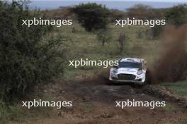 16, Adrien Fourmaux, Alexandre Coria, M-Sport Ford WRT, Ford Puma Rally1.   27-31.03.2024. FIA World Rally Championship, Rd 3, Safari Rally Kenya, Naivasha, Kenya