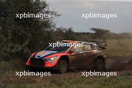 11, Thierry Neuville Martijn Wydaeghe, Hyundai i20 N Rally1 HYBRID.  27-31.03.2024. FIA World Rally Championship, Rd 3, Safari Rally Kenya, Naivasha, Kenya