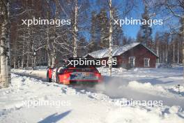 11, Thierry Neuville Martijn Wydaeghe, Hyundai Shell Mobis WRT, Hyundai i20 N Rally1.  15-18.02.2024. FIA World Rally Championship, Rd 2, Rally Sweden, Umea, Sweden.