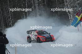 11, Thierry Neuville Martijn Wydaeghe, Hyundai Shell Mobis WRT, Hyundai i20 N Rally1.  15-18.02.2024. FIA World Rally Championship, Rd 2, Rally Sweden, Umea, Sweden.